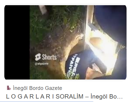 L O G A R L A R I SORALİM