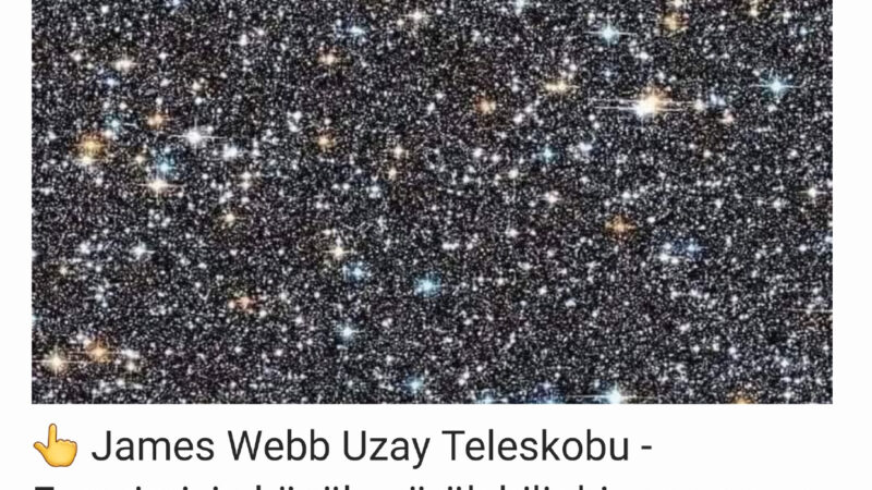 Evrenimizde Dünya’dan başka yaşam formları var mı?