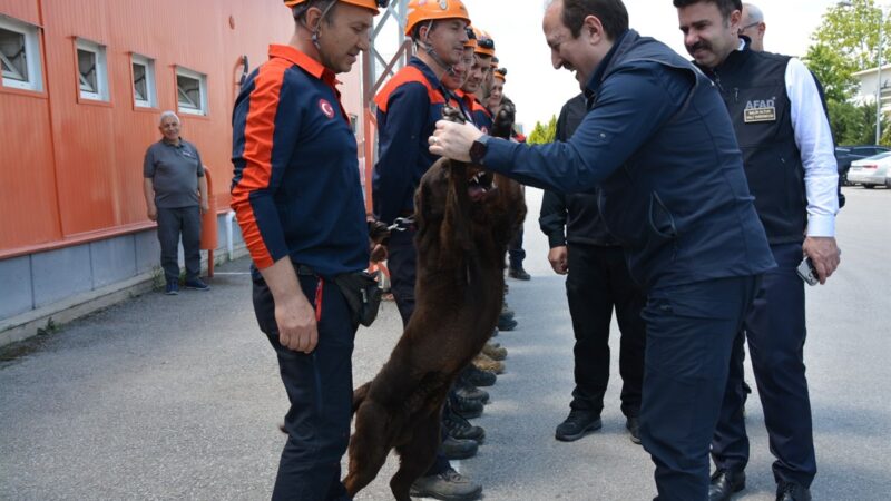 AfadBursa bu arada mı ne acaba