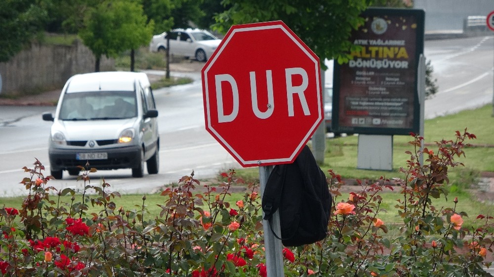 MUŞTUR Şirk Yok dır