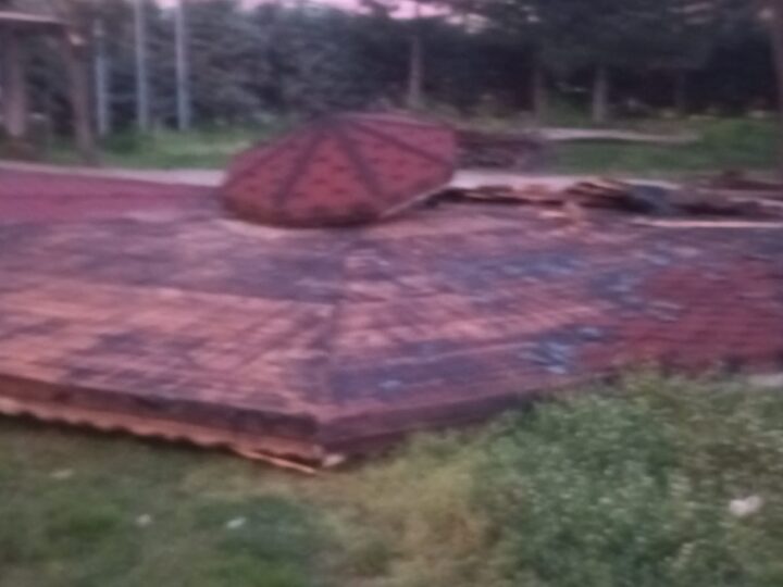 Botanik Park’da Piknik