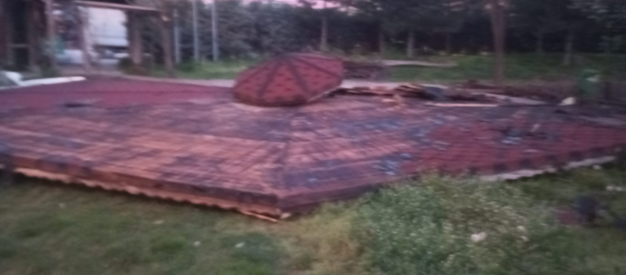 Botanik Park’da Piknik